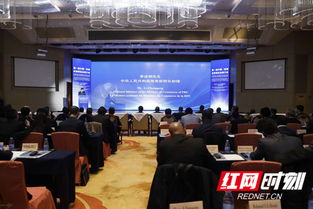 中非合作新时代 首届经贸博览会点亮湖南经济新引擎